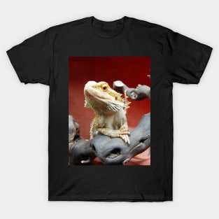 Bearded Dragon T-Shirt